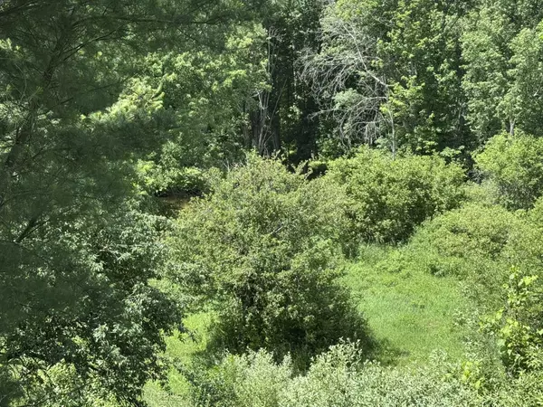 Bear Lake, MI 49614,11302 Bear View