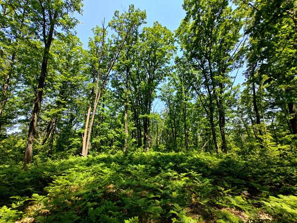 Harrison, MI 48625,Parcel 'A' Deer Lake Rd