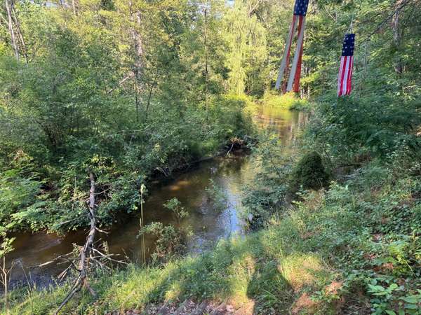 Irons, MI 49644,8160 W River Road