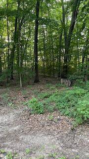 Middleville, MI 49333,5565 Romeyn Woods #Lot 2