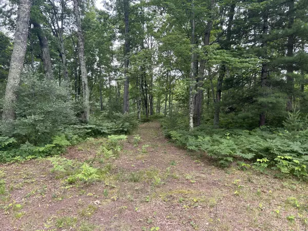 Wellston, MI 49689,VL Caberfae Highway