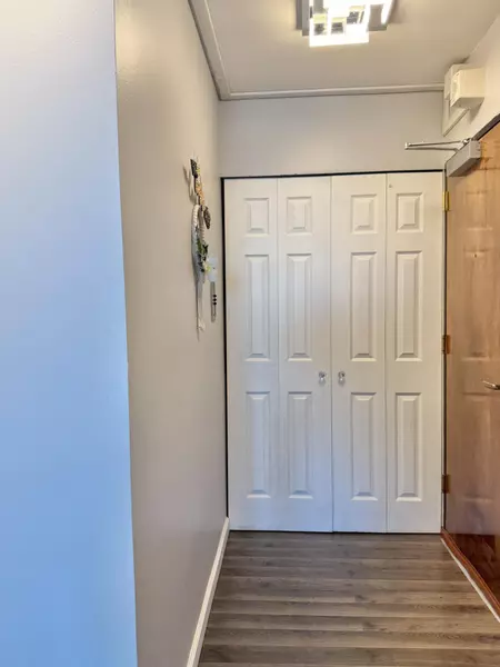555 E William Street #18C, Ann Arbor, MI 48104