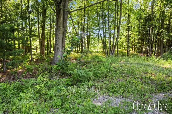 Spring Lake, MI 49456,168th Avenue