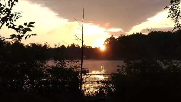 Barryton, MI 49305,22906 40th Avenue