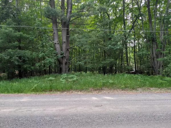 Ludington, MI 49431,V/L Tamarack Road