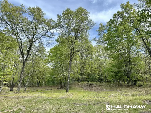 Rothbury, MI 49452,V/L S 136th Avenue