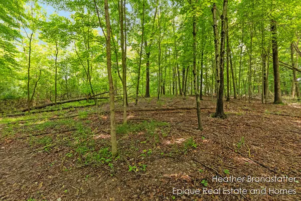 Kentwood, MI 49546,4327 Woodside Oaks SE Drive