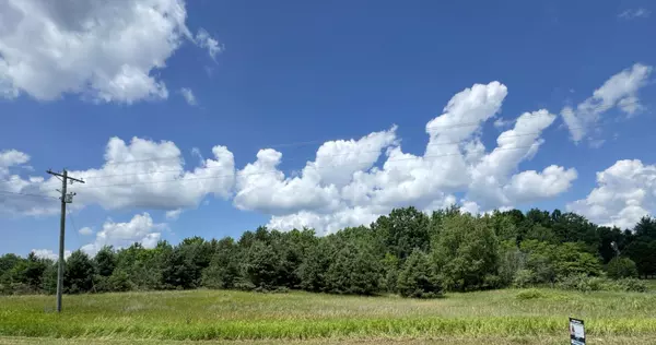 Chase, MI 49623,4 acres E 48th Street