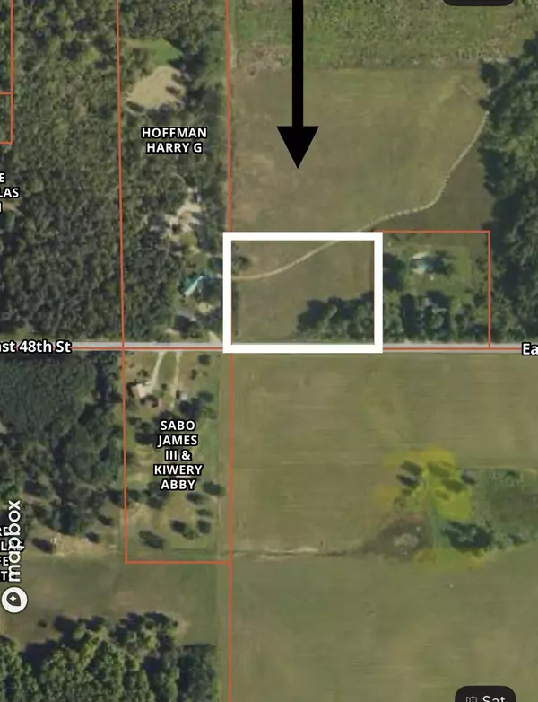 Chase, MI 49623,4 acres E 48th Street