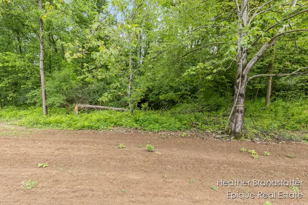 Ada, MI 49301,6225 Wilden Ridge NE Drive