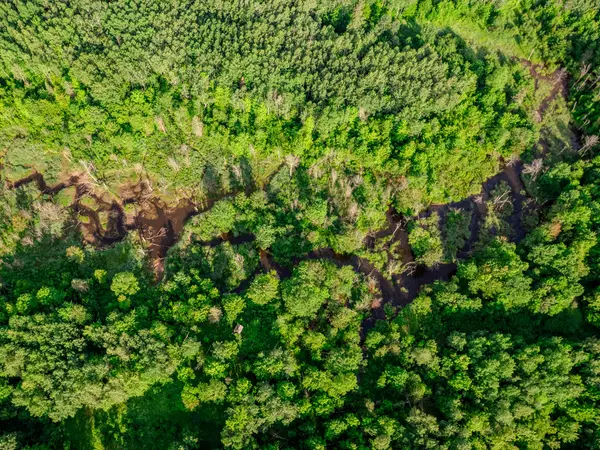 Ontonagon, MI 49953,30659 Townline Road #Lot 6