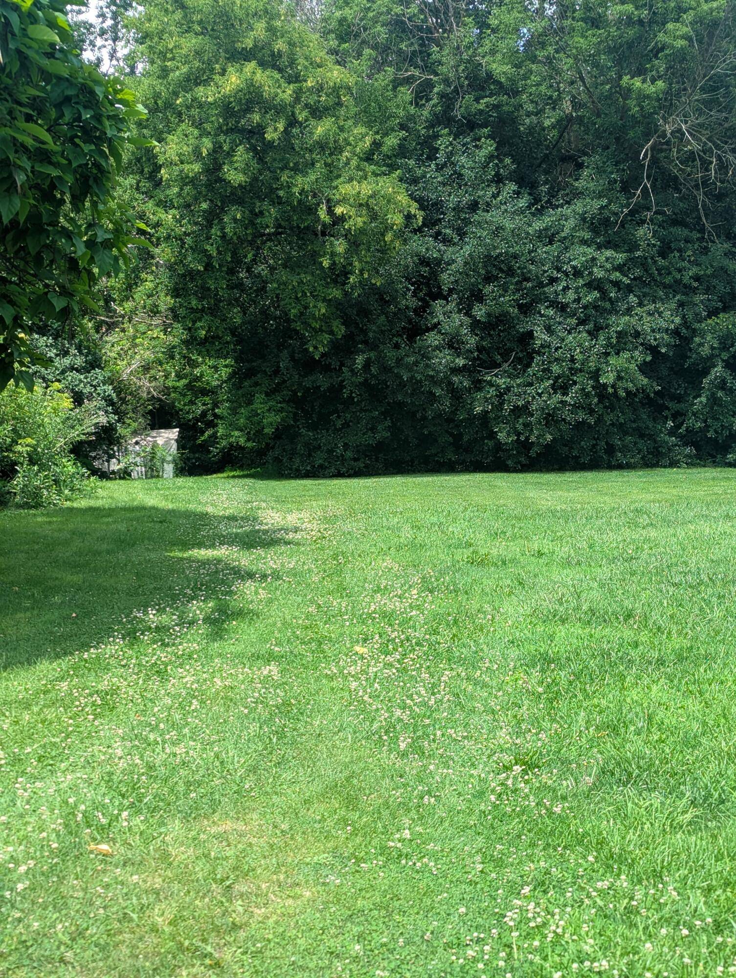 Mount Morris, MI 48458,1217 E Frances Road