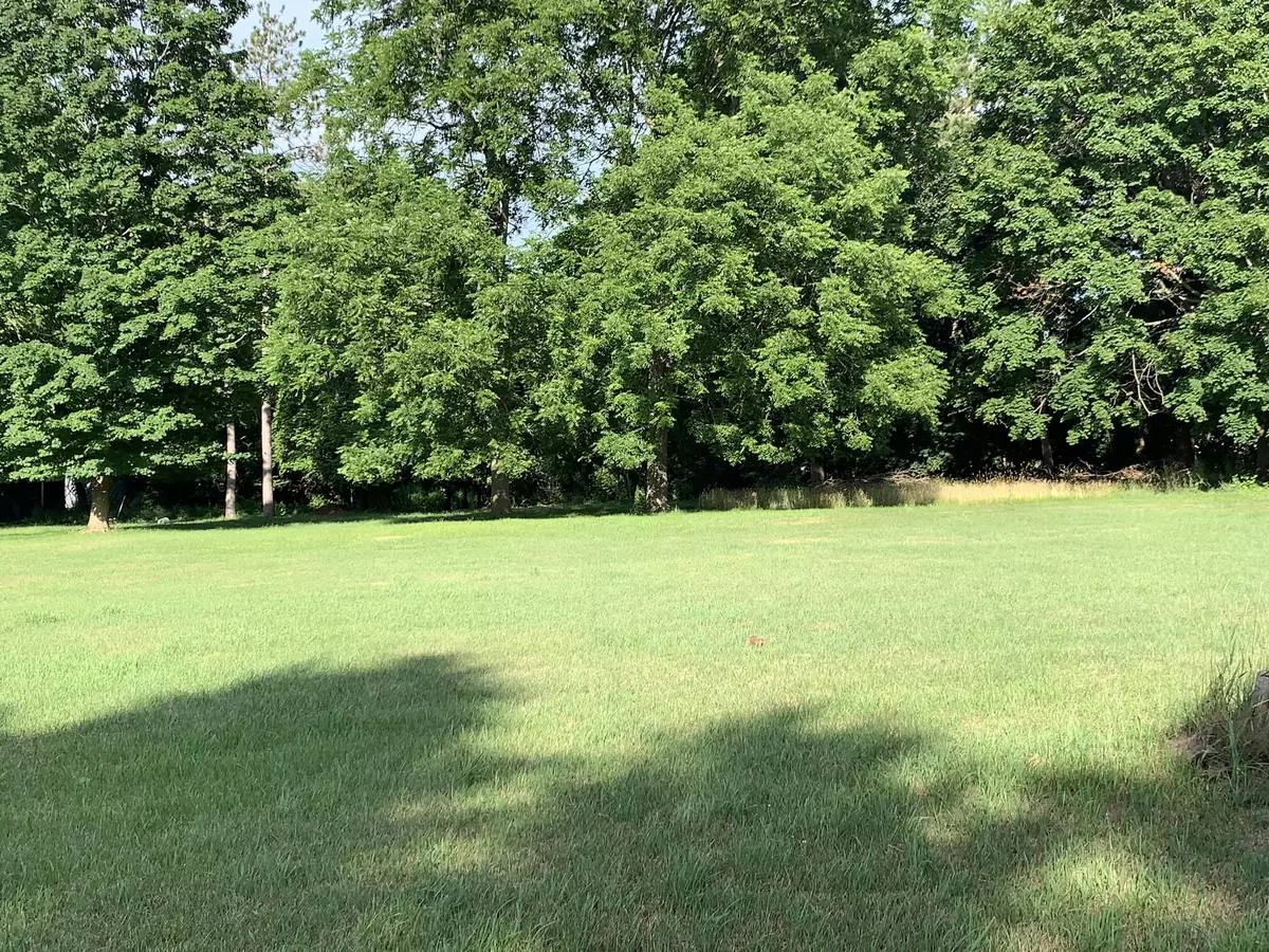 Hesperia, MI 49421,Lizzie Avenue