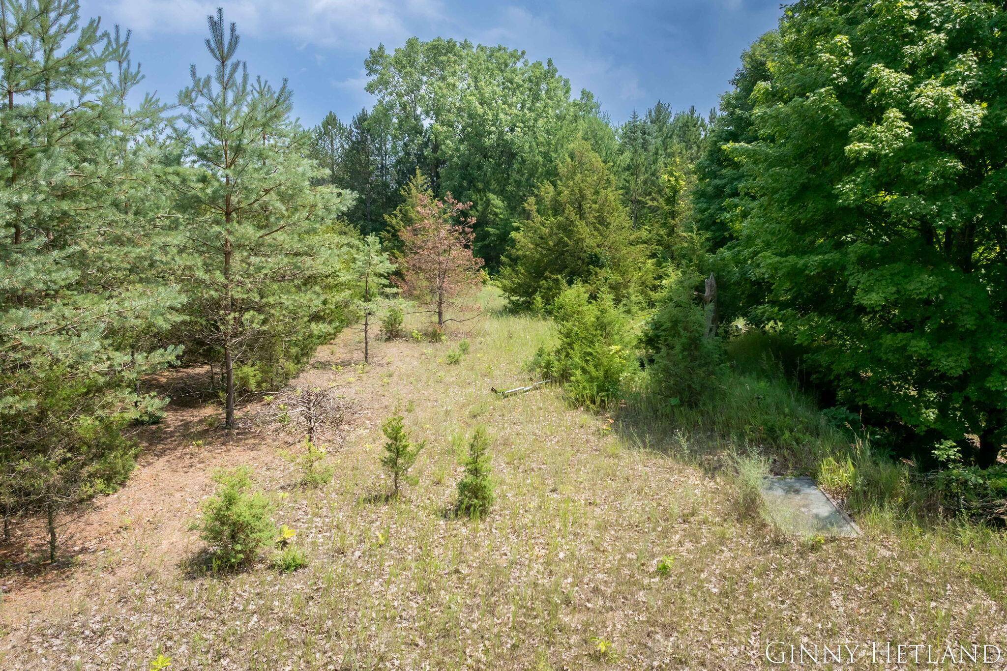 Middleville, MI 49333,N M 37 Highway