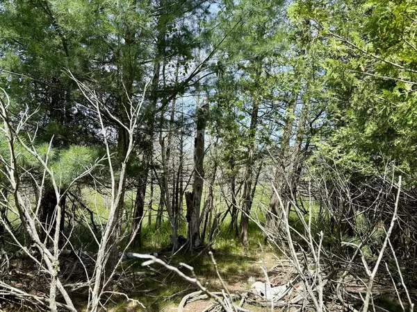 Onekama, MI 49675,2 Seymour