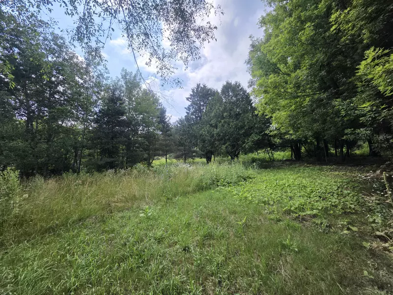 306 E Condensery Road, Sheridan, MI 48884