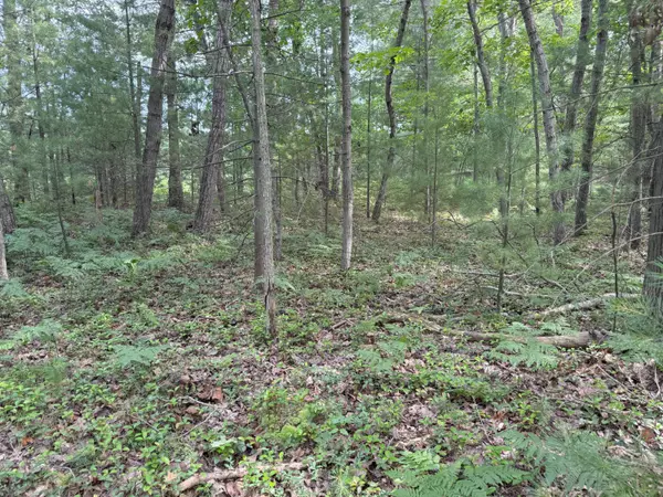Manistee, MI 49660,Critter Trail #Parcel B