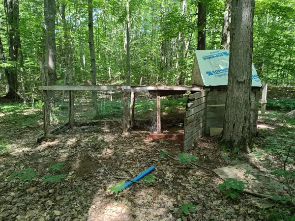 Benzonia, MI 49616,VL King Road