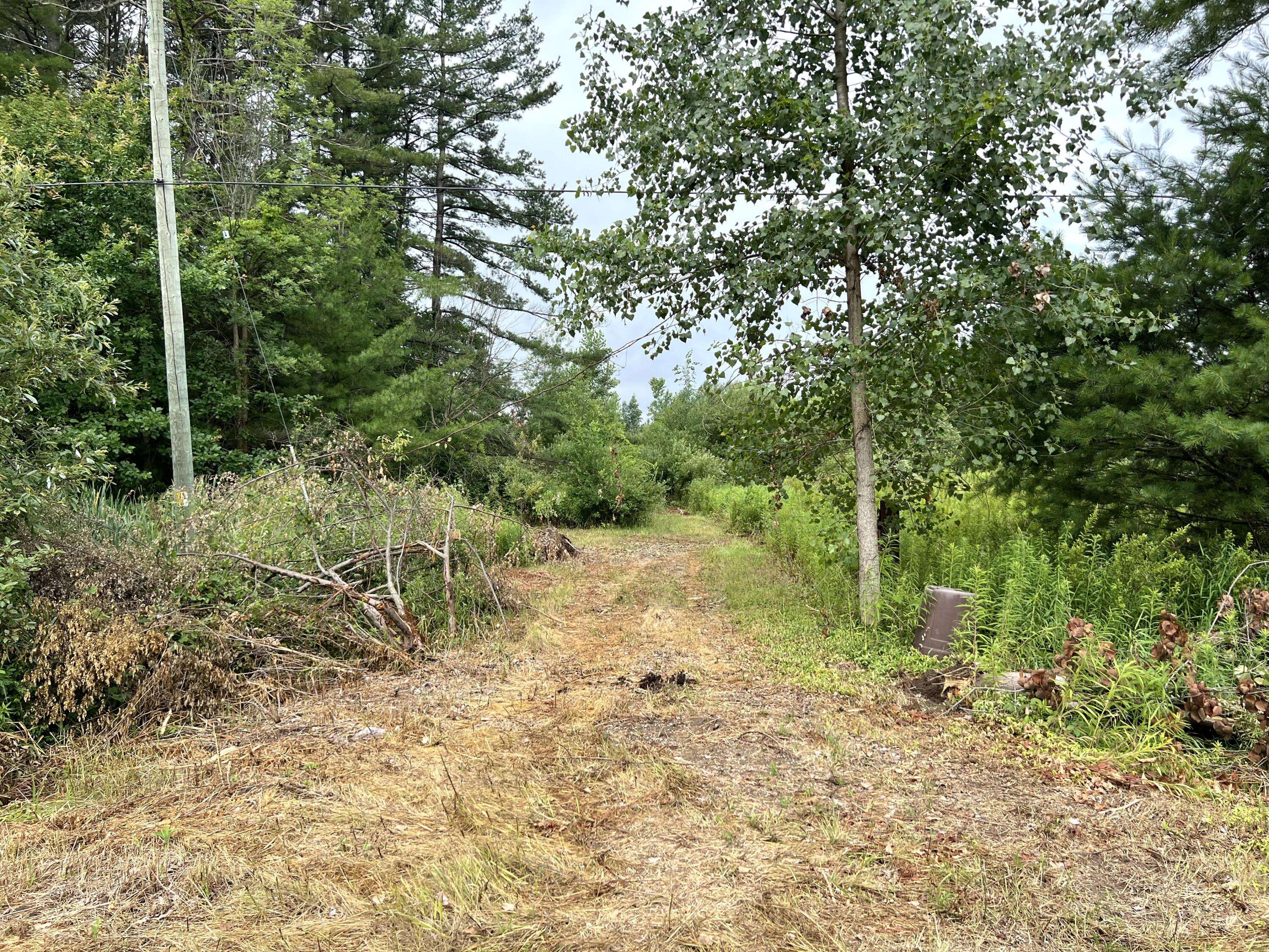 Maple Island Road, Nunica, MI 49448