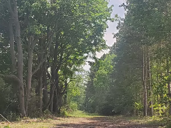 Bear Lake, MI 49614,80 ACRES Beall Road