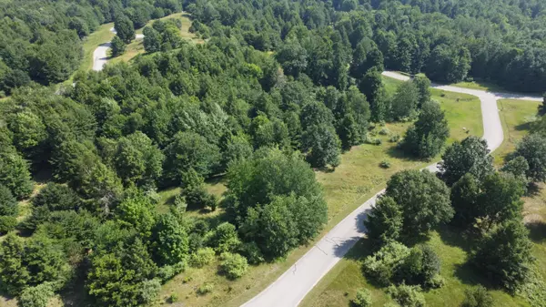 Onekama, MI 49675,Celestial Ridge Dr Lot 25 Drive