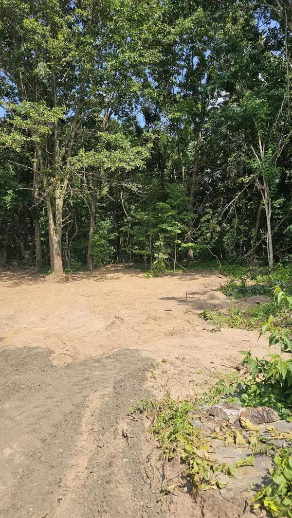Three Rivers, MI 49093,57907 James Drive