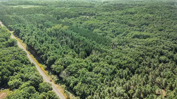 Mecosta, MI 49332,Lot A 85th Avenue