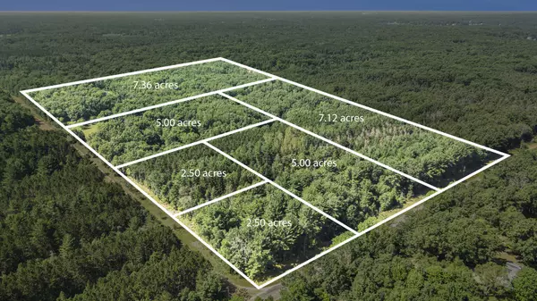 Mecosta, MI 49332,Lot A 85th Avenue