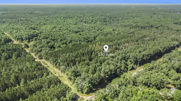 Mecosta, MI 49332,Lot E Hayes Road