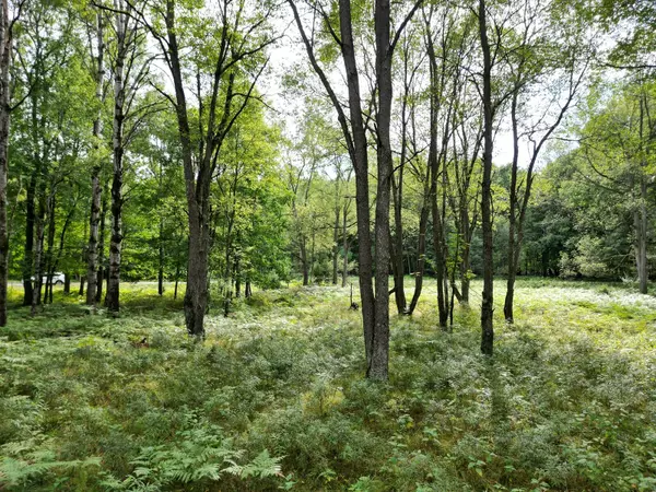 Canadian Lakes, MI 49346,6188 Fox Run Circle