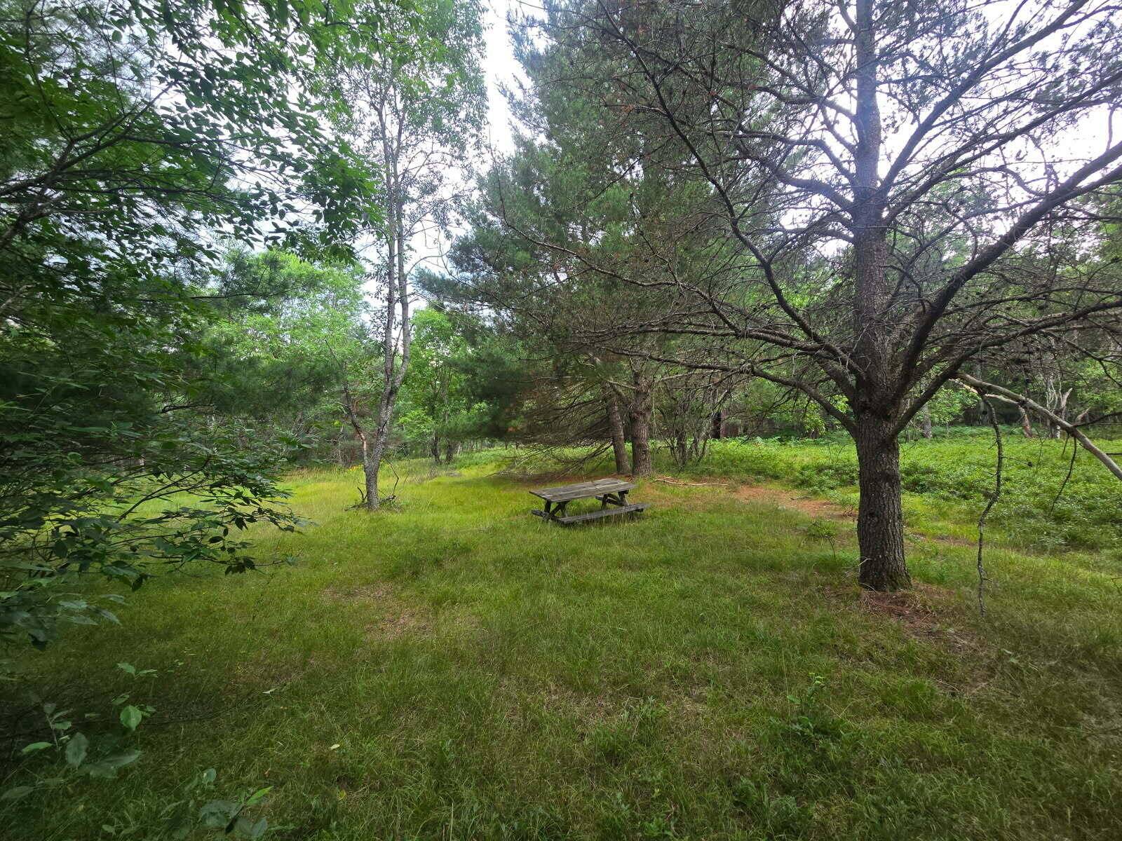 Fife Lake, MI 49633,11722 Behlke SE Road