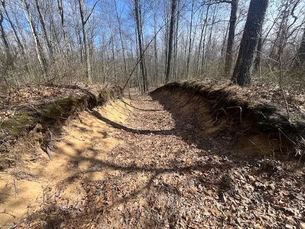 Pullman, MI 49450,40 acres 52ND Street