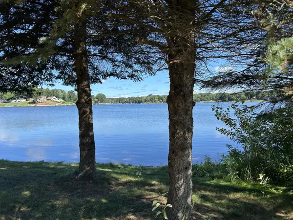 Canadian Lakes, MI 49346,7914 W. Royal Road