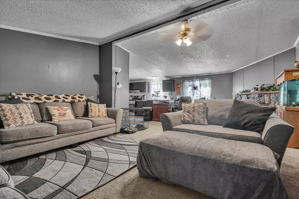 Plainwell, MI 49080,950 Lafayette Street