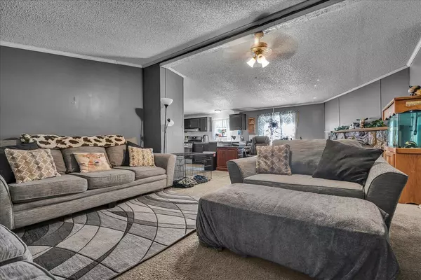 Plainwell, MI 49080,950 Lafayette Street