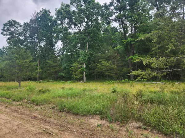 Baldwin, MI 49304,Parcel A W 16th Street