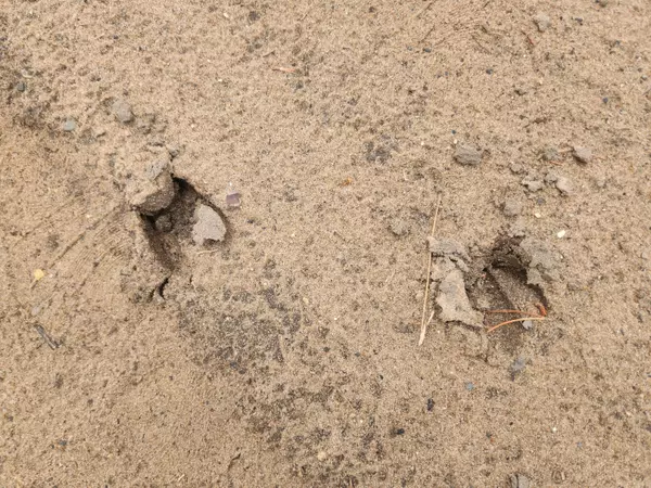 Baldwin, MI 49304,Parcel A W 16th Street