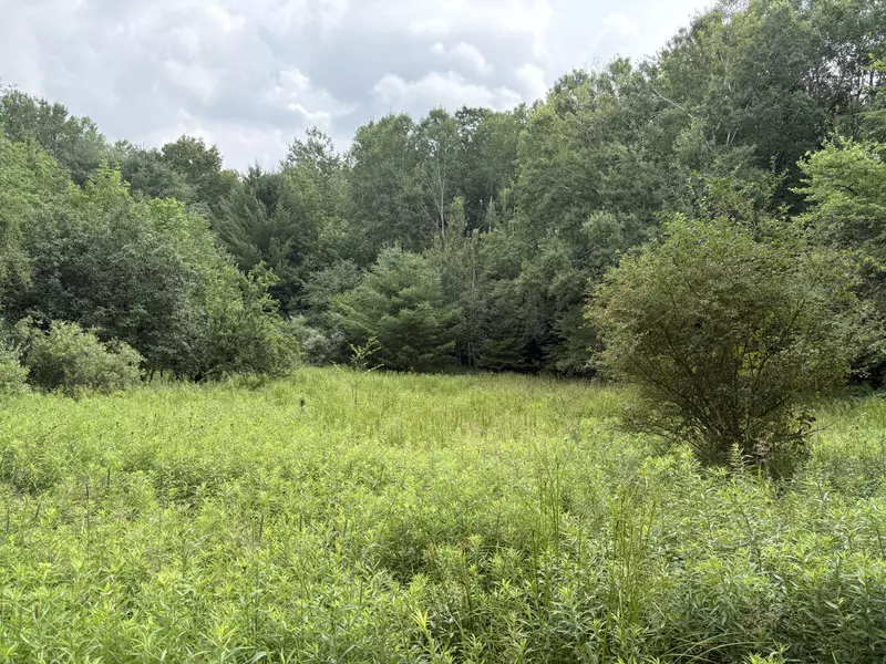 11546 E 3 1/2 Mile Road, Luther, MI 49656