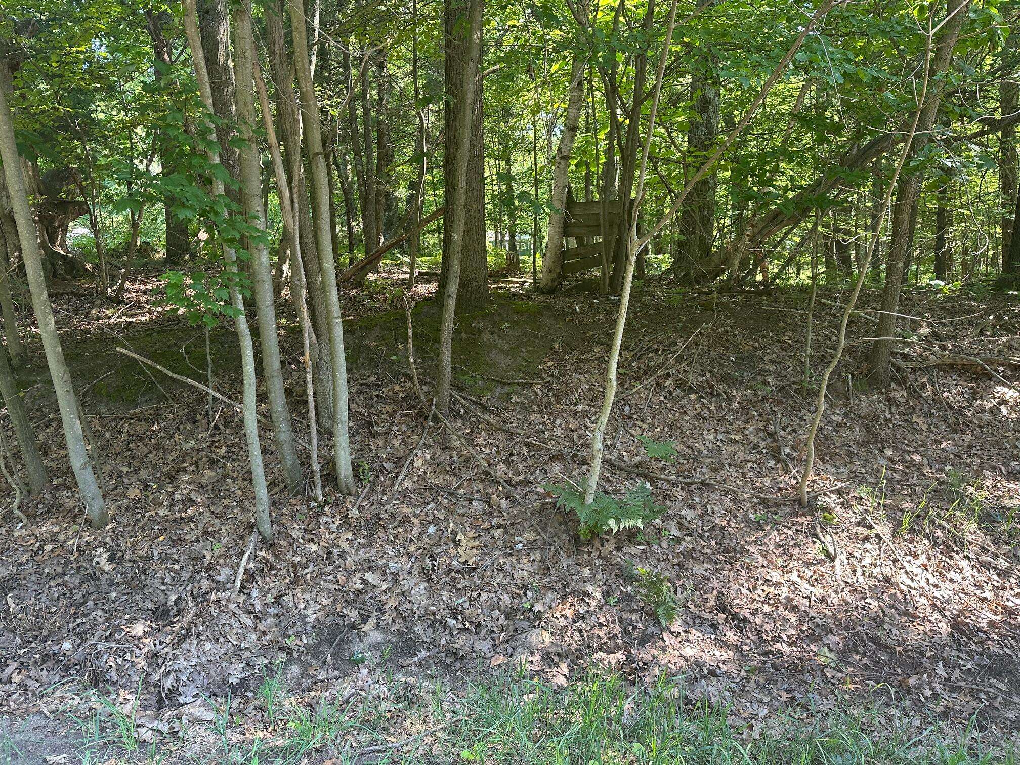 Mears, MI 49436,V/L Ridge Road