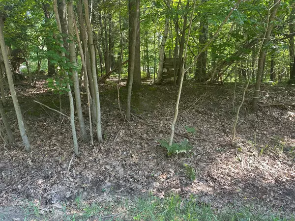 Mears, MI 49436,V/L Ridge Road