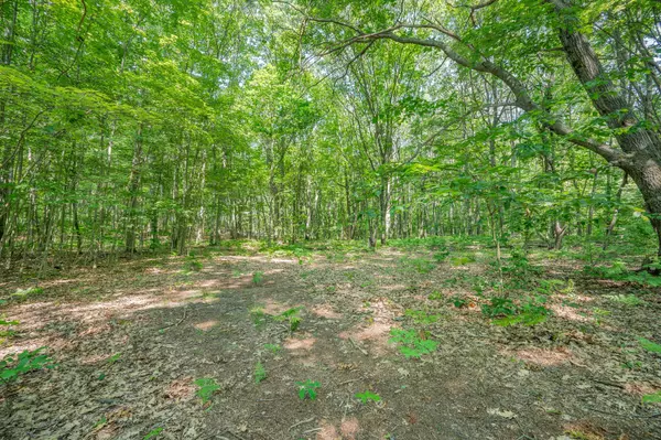 Hersey, MI 49639,V/L 120th Ave