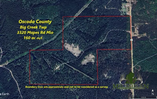 Mio, MI 48647,3320 Mapes Rd