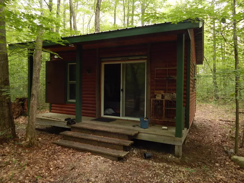 204 N Catalpa Avenue, White Cloud, MI 49349
