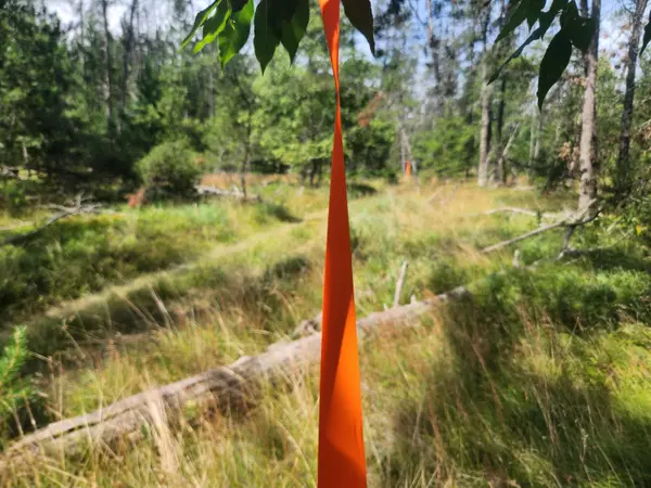 Baldwin, MI 49304,VL W HB Road (Trail 6545)