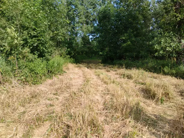 Bangor, MI 49013,V/L 60 1/2 Street