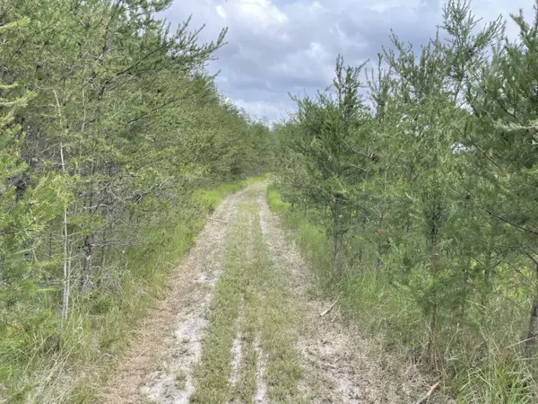 Irons, MI 49644,00 W 10 Mile Road #Parcel G-1