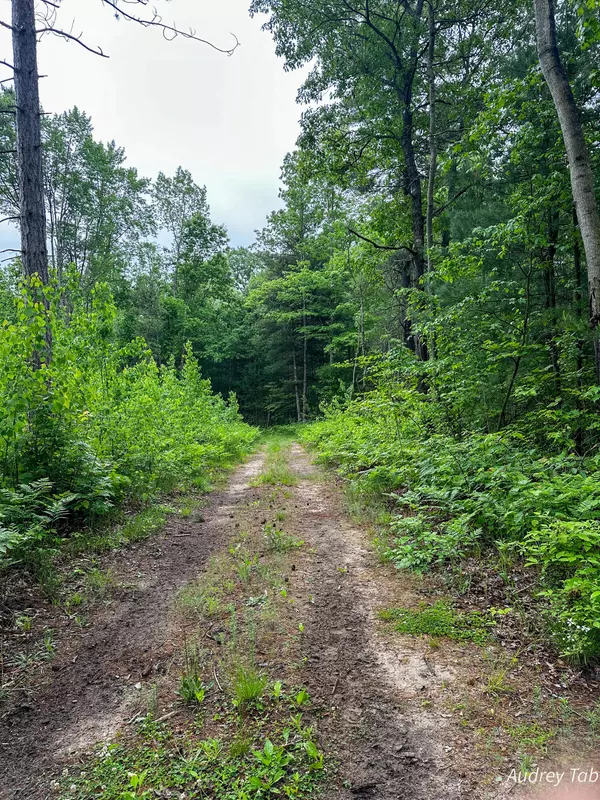 Branch, MI 49402,00 Millerton Road