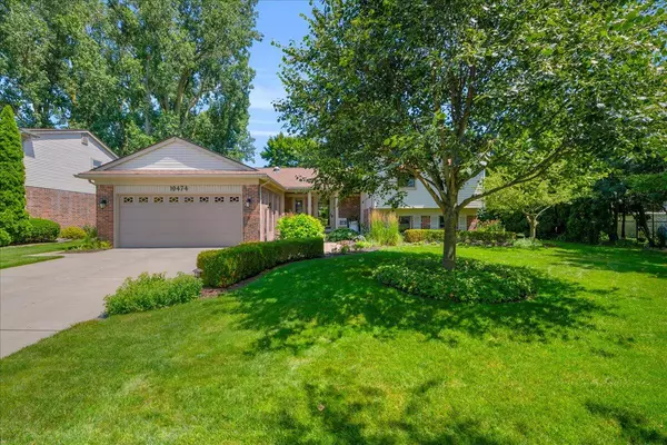 Livonia, MI 48152,19474 Pollyanna
