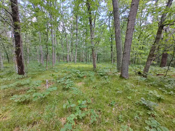 Irons, MI 49644,6946 W 7 Mile Road