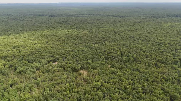 Manistee, MI 49660,VL Custer